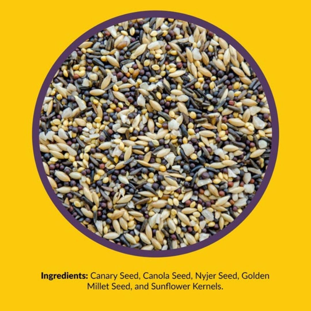Finch Small Songbird Mix – Lyric – 5 LB